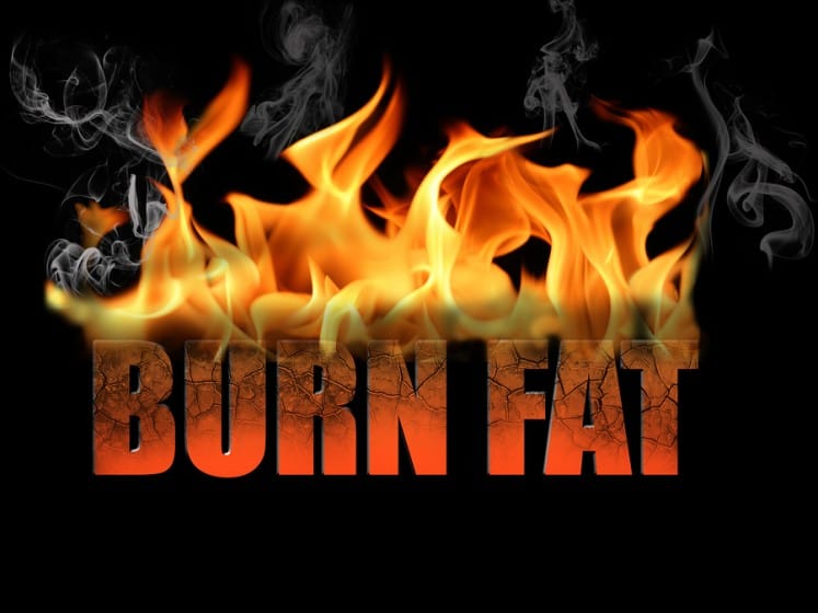 Reveal the hidden secrets to fat burning and set your body’s furnace on fire with smart, effective solutions that accelerate weight loss, improve energy levels, and leave you feeling stronger and healthier every day